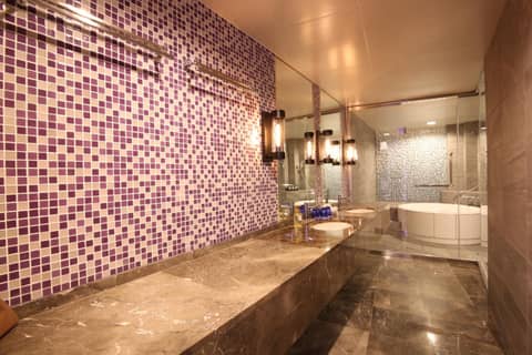 Quintessa Hotel Sapporo — photo 4