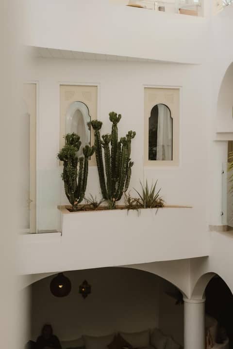 Riad Dar Blanche & Spa — balance & terrace