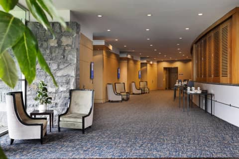 ibis Auckland Ellerslie — photo 6