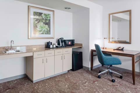 Hilton Garden Inn Sarasota-Bradenton Airport — photo 5