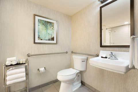 Embassy Suites by Hilton Atlanta at Centennial Olympic Park — photo 6