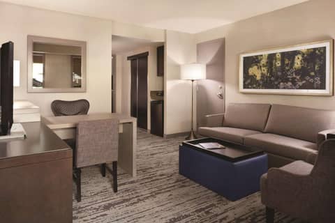 Embassy Suites by Hilton Atlanta at Centennial Olympic Park — photo 9
