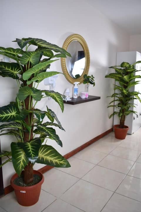 Diva Serviced Apartments — other
