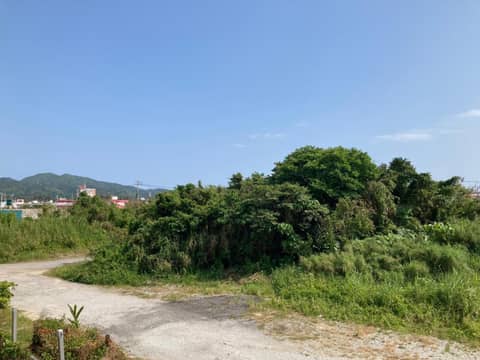 New Normal Hotel in NAGO — photo 5