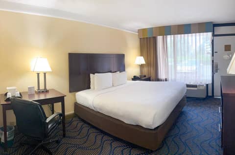 Hotel Monreale Inn & Studios I-Drive Icon Park Orlando — photo 9