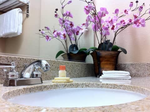 The Dixie Hollywood — bathroom