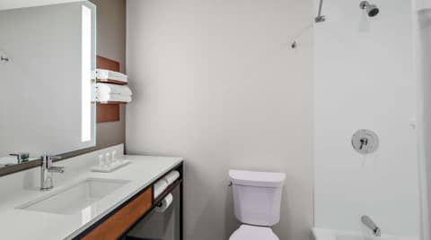 Hilton Garden Inn Chicago McCormick Place — photo 4