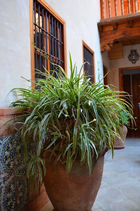 Hotel Santa Isabel La Real — photo 7