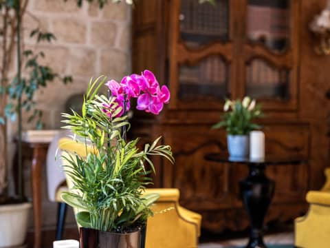 Hotel Minerve — photo 7