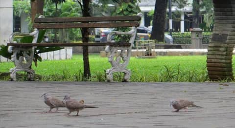 d'primahotel Mega Kuningan — photo 9