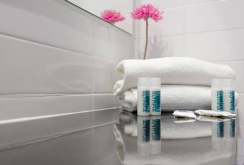 Hotel Olympia Universidades — bathroom