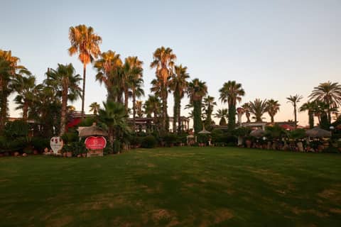 Club Hotel Sera — photo 4