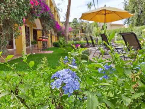 El Encanto Inn & Suites — activities & amenities