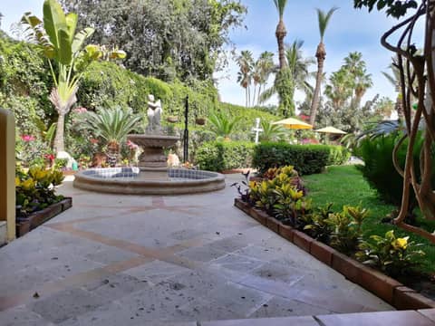 El Encanto Inn & Suites — activities & amenities