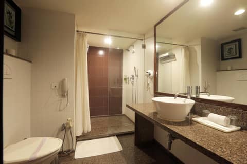 Vesta Maurya Palace — photo 9