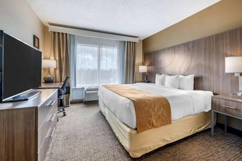 Comfort Suites Tamarac Sawgrass — photo 4