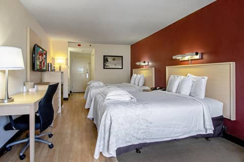 Red Roof Inn PLUS+ West Palm Beach — photo 7