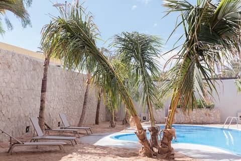 Alhambra Boutique Apartments by PMC Resorts — recepcion & lobby