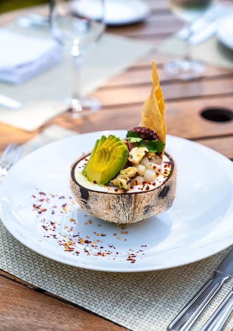 Casa Velas Adults Only All Inclusive — photo 4