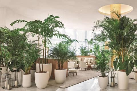 The Miami Beach EDITION — recepcion & lobby