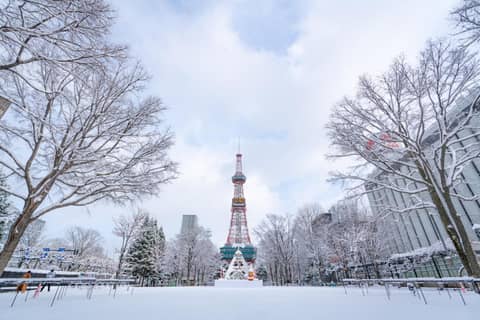 Best Western Sapporo Odori Koen — photo 3
