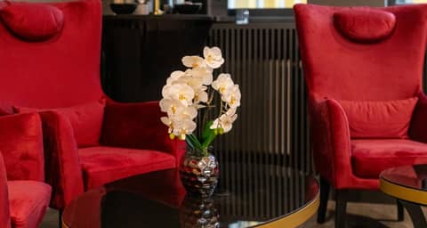PLAZA INN Salzburg City — photo 4