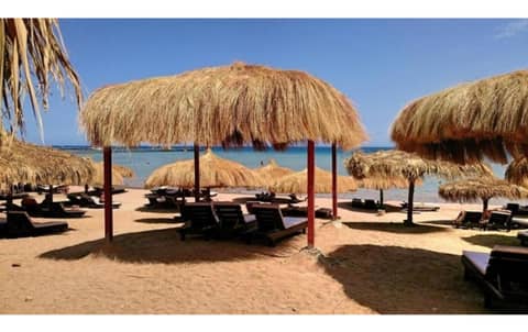 Caves Beach Resort Adults Only — activities & amenities
