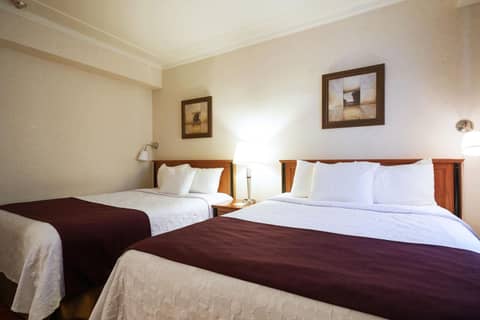 Hotel St-Denis — photo 8
