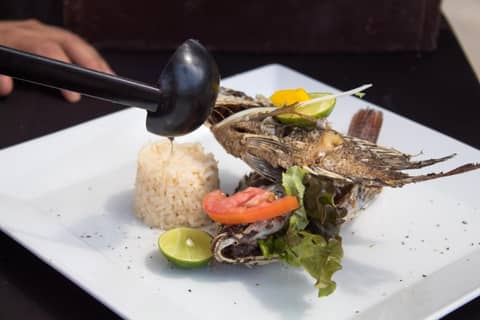 Plaza Pelicanos Club Beach Resort All Inclusive — dining