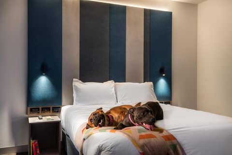 ibis Styles Melbourne Southbank — photo 8