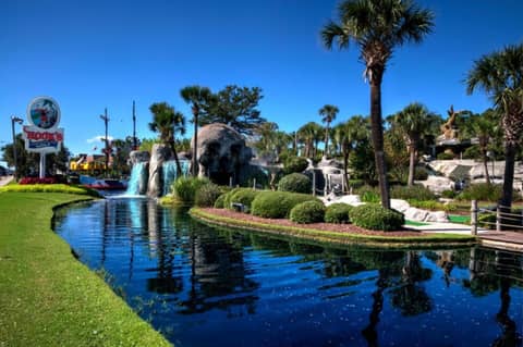 Caravelle Resort by Palmetto Vacations — photo 4