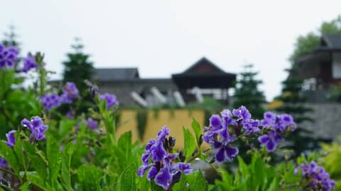 Onsen at Moncham — photo 8