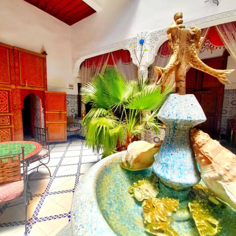 Riad Chennaoui — photo 4