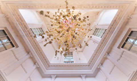 The Davenport — photo 9