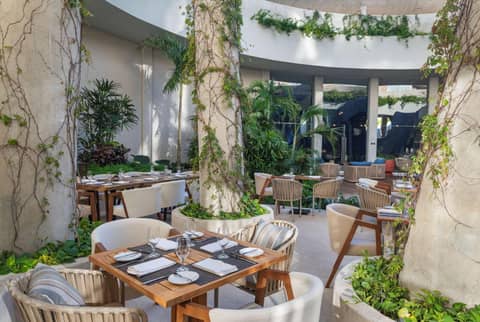 Hilton Garden Inn Cancun Airport — photo 2