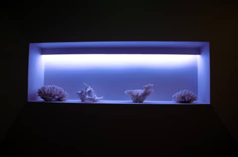 Aqua Ria Boutique Hotel — photo 8