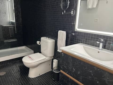 BiBo Suites Palacio de Portago — photo 8