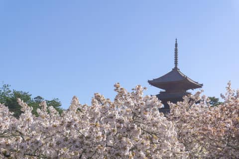 Tokyu Stay Kyoto Sanjo-Karasuma — photo 5