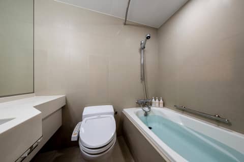 The Royal Park Hotel Kyoto Sanjo — photo 2