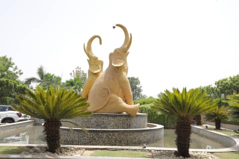 Saura Hotel, Agra - A Club Mahindra Associate — photo 4