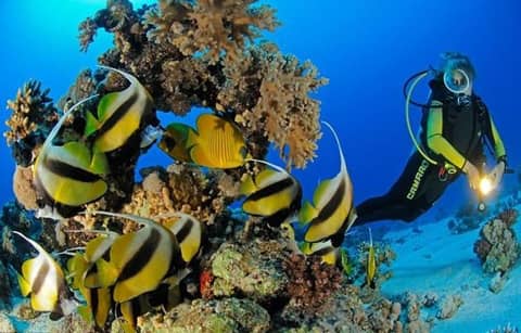 Marena Hurghada — photo 8