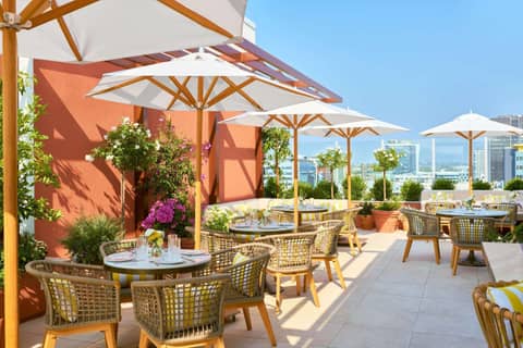 The Hollywood Grande, Autograph Collection — roof