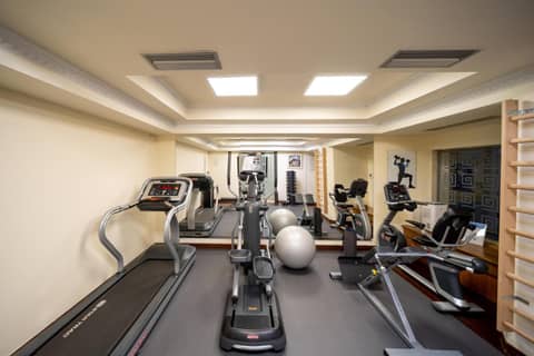 Electra Palace Athens — activities & amenities