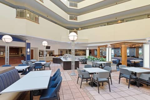 Embassy Suites by Hilton Tampa USF Near Busch Gardens — photo 5