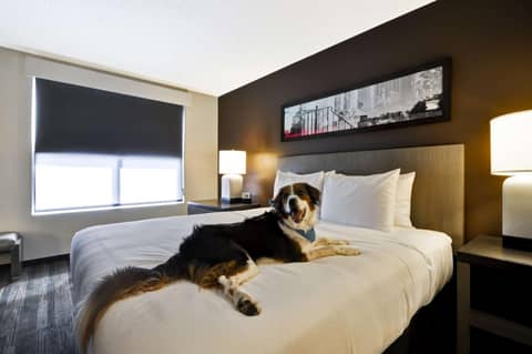 Hyatt House Atlanta Cobb Galleria — photo 3