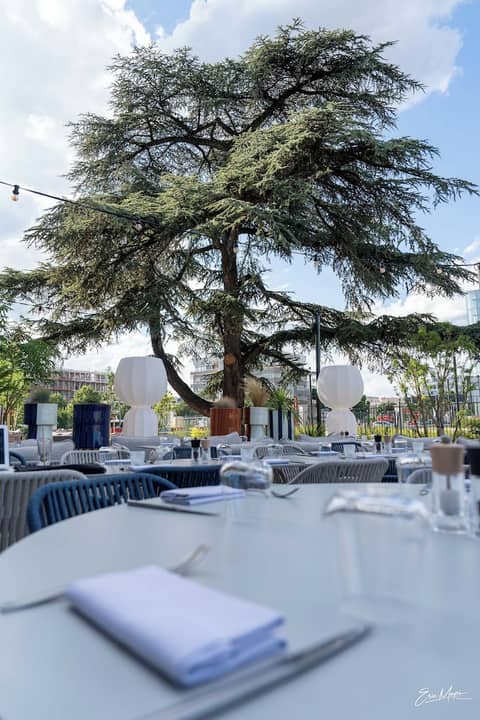 The Ruck Hotel — dining