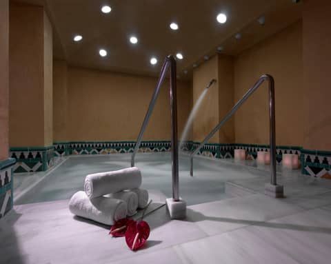 Hotel Macià Real De La Alhambra — photo 3