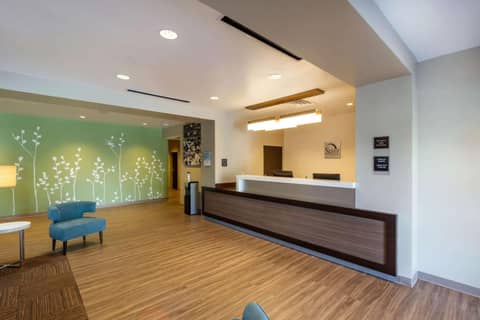 Sleep Inn & Suites Tampa South — photo 3