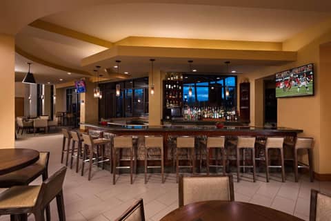 Embassy Suites by Hilton Phoenix Scottsdale — photo 3
