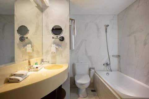 Sahid Raya Hotel & Convention Yogyakarta — photo 8